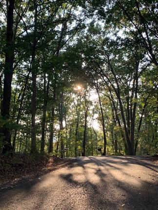 A Long Way Up: Reflections on Memoir